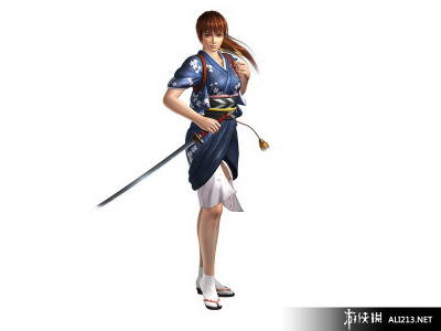 忍者龙剑传3：刀锋边缘