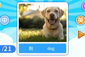 宝宝英语启蒙app