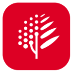 博鳌医学官方版