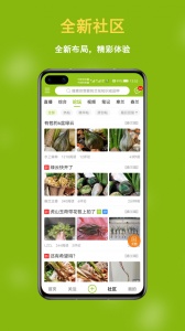 兰花交易网app