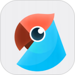 有道翻译官翻译app