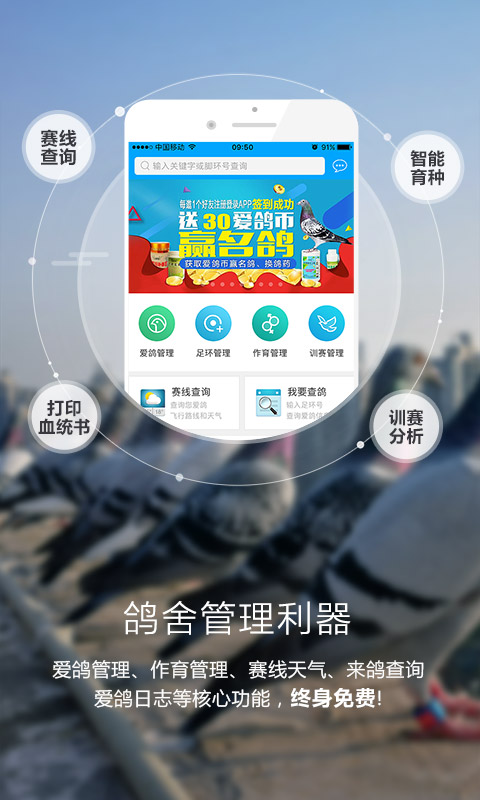 爱鸽者最新版