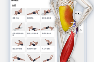 3dbody解剖app