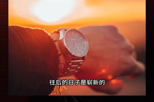 字拍字幕动画app官方版