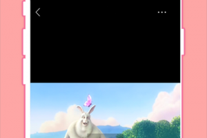 先锋影音手机版