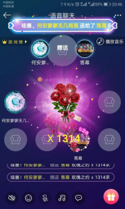 纯声语音一对一版