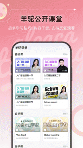 PTE羊驼app