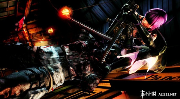 忍者龙剑传3：刀锋边缘