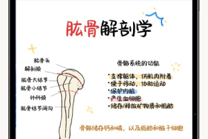 自由笔记官方版