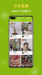 兰花交易网app