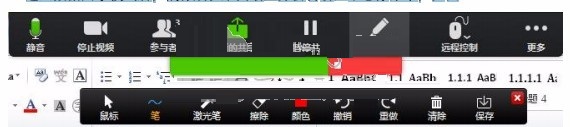 bizconf video pro