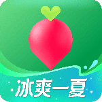 叮咚买菜官方版