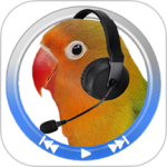 经典复读机官方版