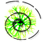 Context Menu Audio Converter