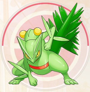 口袋觉醒小米版