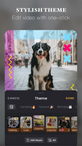小影VivaVideo国际版