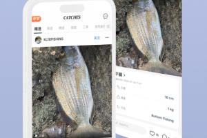 渔获app