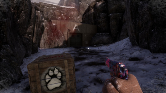 无政府状态：狼的法则