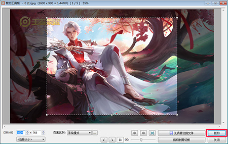faststone image viewer