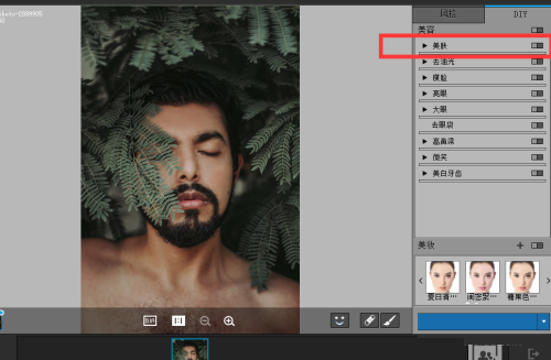 PortraitPro