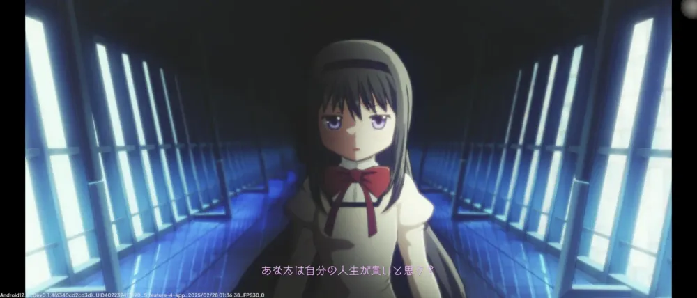 魔法少女小圆国际版