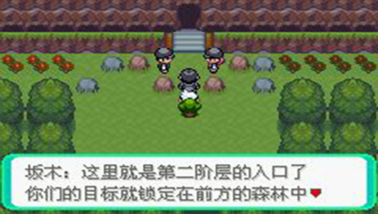 口袋妖怪漆黑的魅影5.0ex bw