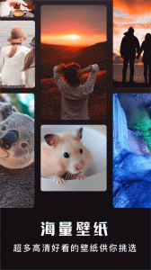 小野主题盒安卓版