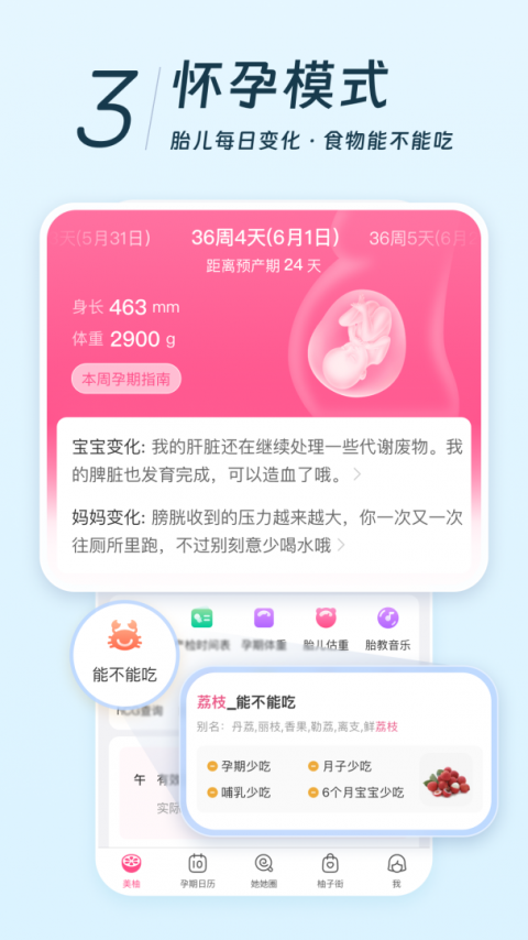 美柚记录月经软件