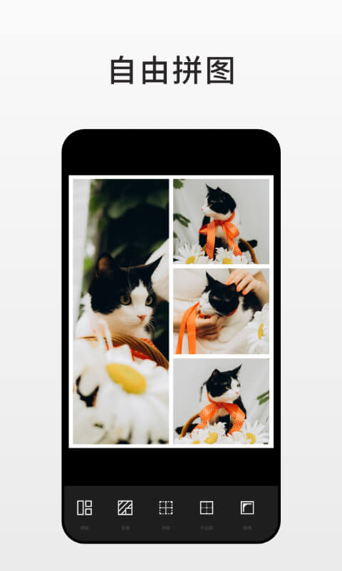 Fotor图片编辑器app