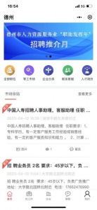 安然人才网app