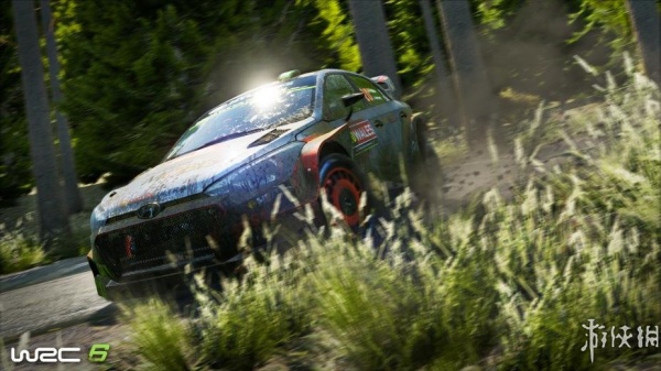 世界汽车拉力锦标赛6