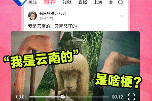 皮皮虾app
