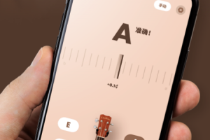吉他调音器专业版