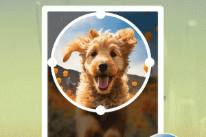 小白点虚拟按键