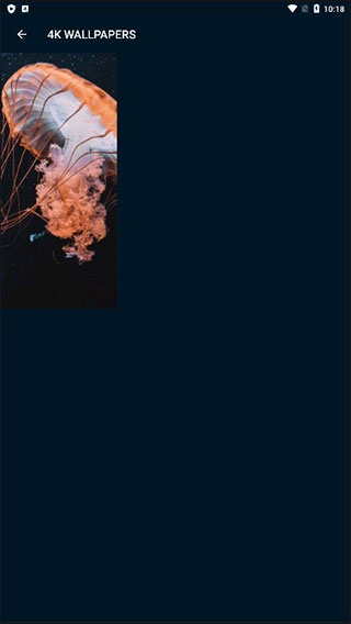 4K Wallpapers最新版