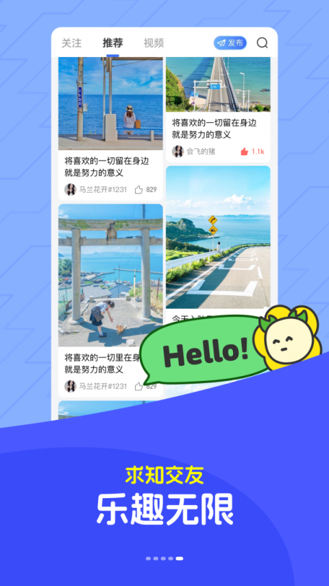 马兰花开