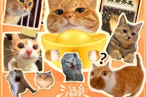 三国杀一将成名官服