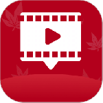 红叶影评免广告版