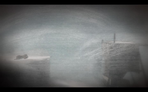 永不孤单：狐狸传说