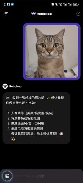 RoboNeo美图AI助手