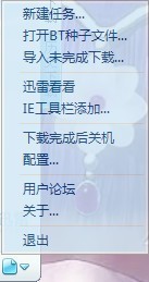 迷你迅雷绿色版