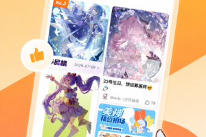 临界app