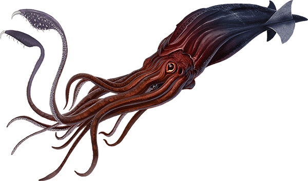 方舟生存进化2.0手机版