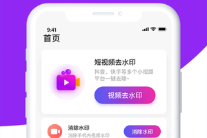 视频去水印大师