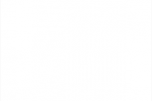 云上鄂州客户端