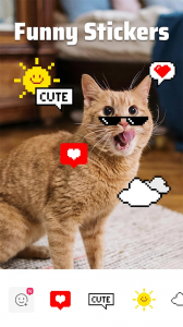 Sweet Selfie最新版