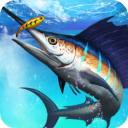 钓鱼锦标赛最新版