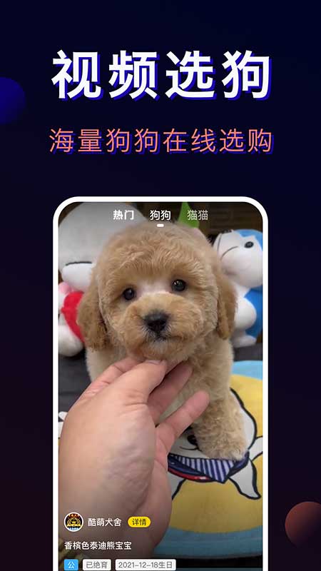 宠物宝安卓版