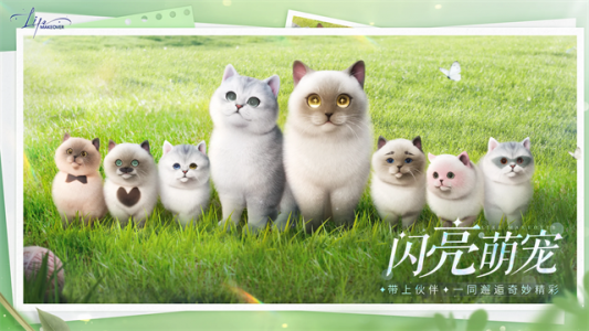 以闪亮之名新马服