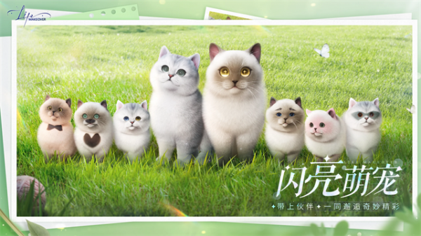 以闪亮之名新马服